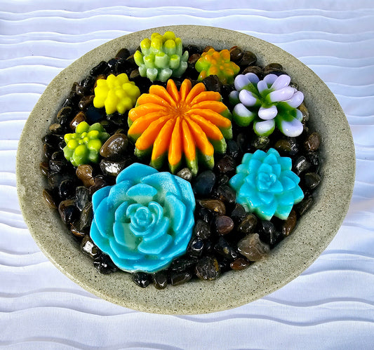 Succulent Garden